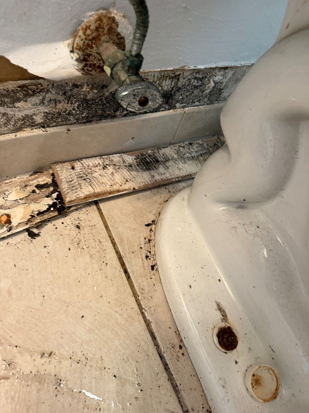 Close-up of a corroded valve fitting and stained baseboard beside a toilet base